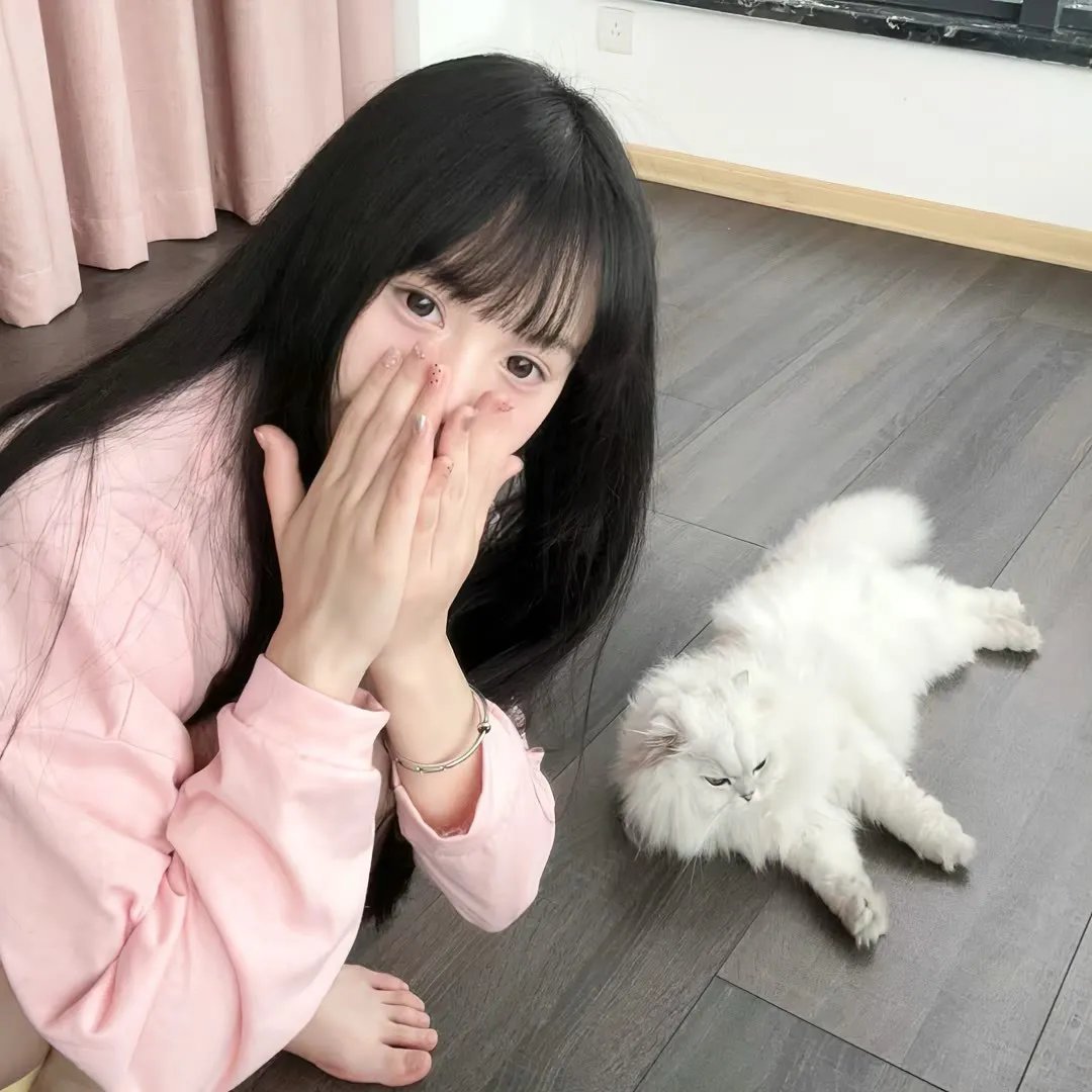 杀妻案